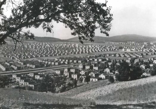 Beseda: Baťa – od války k válce