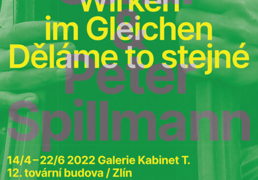 Děláme to stejné: Interdisciplinární projekt, instalace